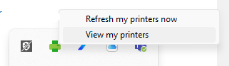 Print Icon
